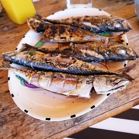 Freesurfcamp بيت شباب *