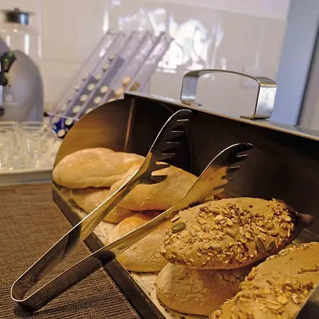 Freesurfcamp بيت شباب باليال