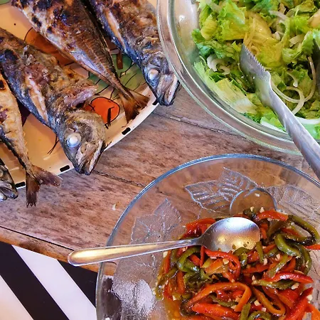 Freesurfcamp باليال