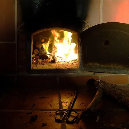 بيت شباب Freesurfcamp