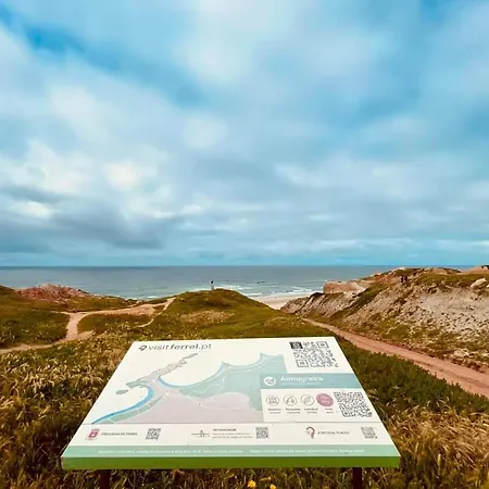 Freesurfcamp * Балеал