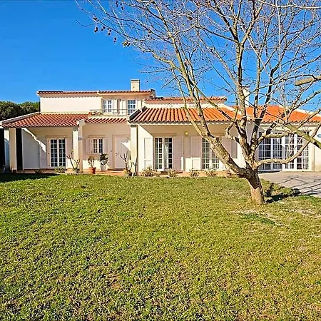 Freesurfcamp Hostel Baleal