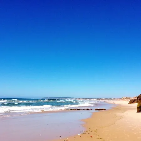 Freesurfcamp & Baleal
