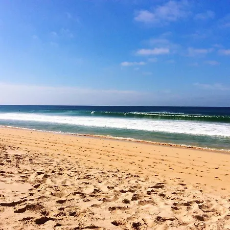 Freesurfcamp &