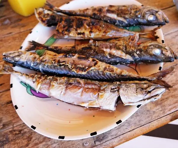 Freesurfcamp 旅馆 *