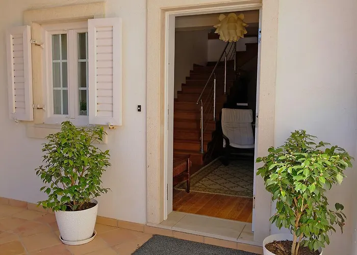 Freesurfcamp Auberge de jeunesse Baleal