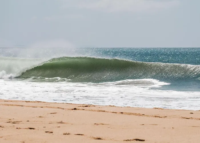 Freesurfcamp 巴勒尔